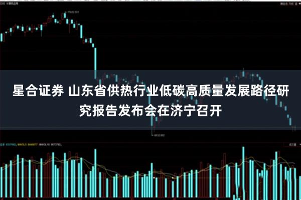 星合证券 山东省供热行业低碳高质量发展路径研究报告发布会在济宁召开