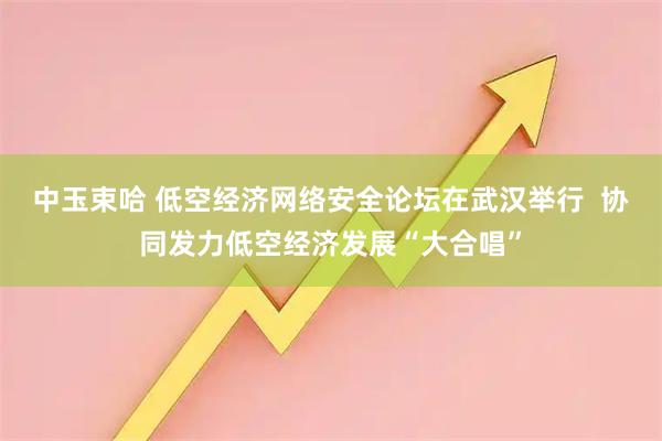 中玉束哈 低空经济网络安全论坛在武汉举行  协同发力低空经济发展“大合唱”