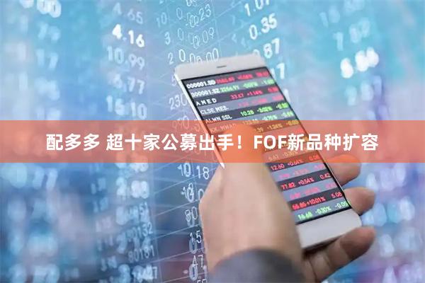 配多多 超十家公募出手！FOF新品种扩容
