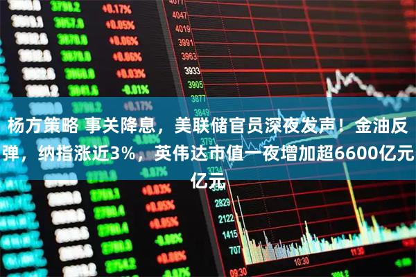 杨方策略 事关降息，美联储官员深夜发声！金油反弹，纳指涨近3%，英伟达市值一夜增加超6600亿元