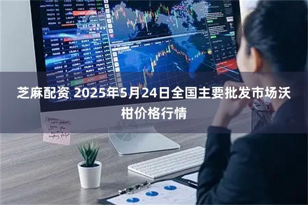 芝麻配资 2025年5月24日全国主要批发市场沃柑价格行情