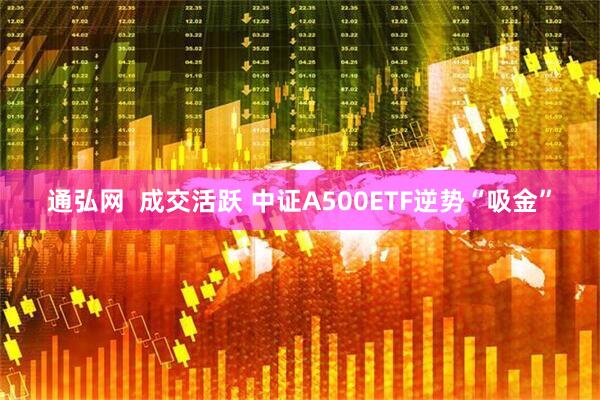 通弘网  成交活跃 中证A500ETF逆势“吸金”