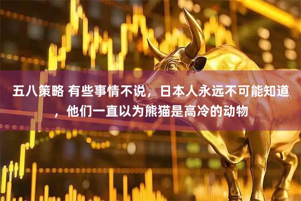 五八策略 有些事情不说，日本人永远不可能知道，他们一直以为熊猫是高冷的动物