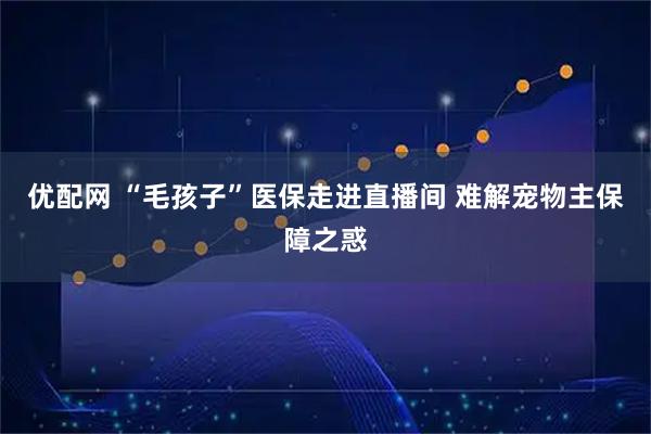 优配网 “毛孩子”医保走进直播间 难解宠物主保障之惑